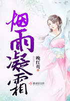《烟雨凝霜》