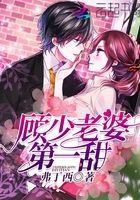 《顾少老婆第一甜》