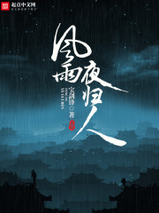 《风雨夜归人》
