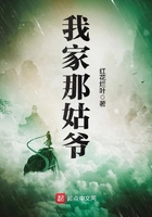 《我家那姑爷》
