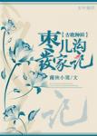 《枣儿沟发家记》