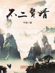 《不二赘婿》