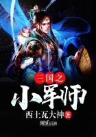《三国之小军师》
