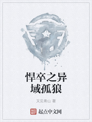 《悍卒之异域孤狼》