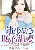 《婚前婚后，陆少的暖心甜妻》