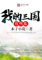 《我的三国有些乱》
