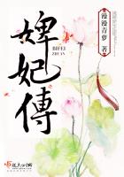 《婢妃传》