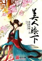 《美人膝下》