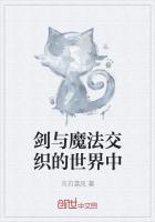 《剑与魔法交织的世界中》