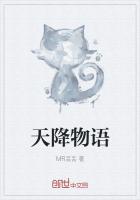 《天降物语》