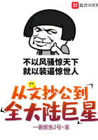 《从文抄公到全大陆巨星》