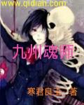 《九州魂师》