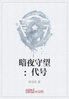 《暗夜守望：代号》