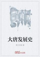 《大唐发展史》