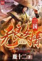 《三国无良女婿》