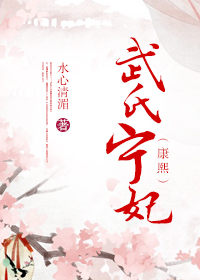 《康熙之武氏宁妃》