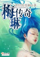 《梅琳传奇》