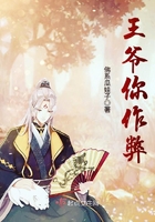 《王爷你作弊》