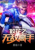 《校花之无敌高手》