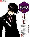《模拟市长》