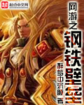 《网游之钢铁壁垒》