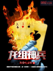 《龙组神兵》