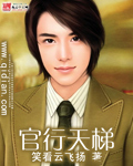 《官行天梯》