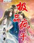 《极品疯子》