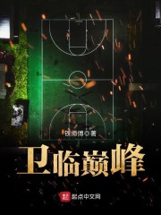 《卫临巅峰》