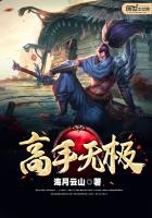 《高手无极》