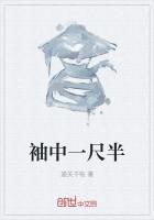 《袖中一尺半》