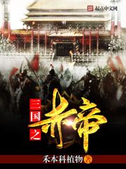 《三国之赤帝》