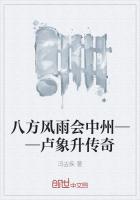 《八方风雨会中州——卢象升传奇》