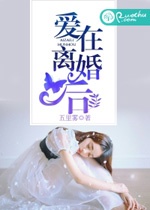 《爱在离婚后》