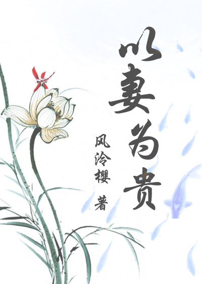 《以妻为贵》