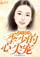《季少的心尖宠》