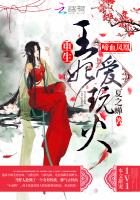 《啼血凤凰：重生王妃爱玩火》