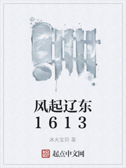 《风起辽东1613》