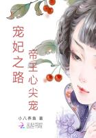 《宠妃之路：帝王心尖宠》