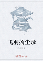 《飞羽扬尘录》