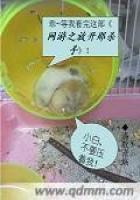 《网游之放开那杀手》