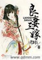 《良妻三嫁》
