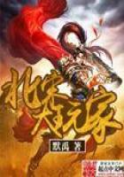 《北宋大玩家》