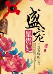 《盛宠皇贵妃》