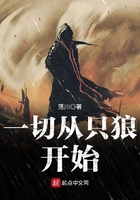《一切从只狼开始》