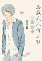 《一婚成瘾：总裁大人有点狂》