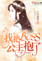 《我把BOSS公主抱了》
