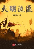 《大明流匪》