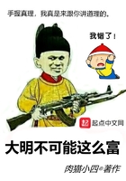《大明不可能这么富》
