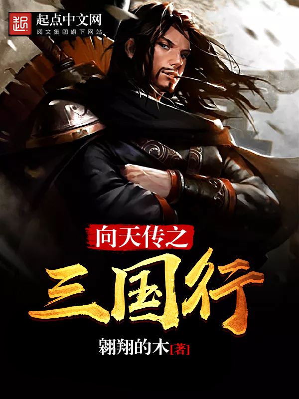 《向天传之三国行》